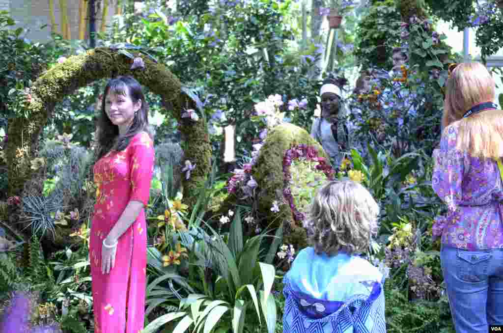 Temperate weather on Easter Sunday brought large crowds to view the Orchid Symphony exhibit, U.S. Botanic Garden, Washington, D.C., April 20, 2014. (Elizabeth Pfotzer/VOA)