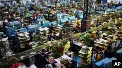 Trabajadores empacan flores destinadas principalmente a la exportación hacia el mercado de EEUU en una granja de flores en Chia, en las afueras de Bogotá, Colombia, el lunes 27 de enero de 2025.