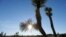 FILE - The sun sets behind joshua trees in Joshua Tree National Park, Jan. 16, 2013, near Twentynine Palms, Calif.