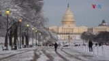 Видео разгледница од снежниот Вашингтон
