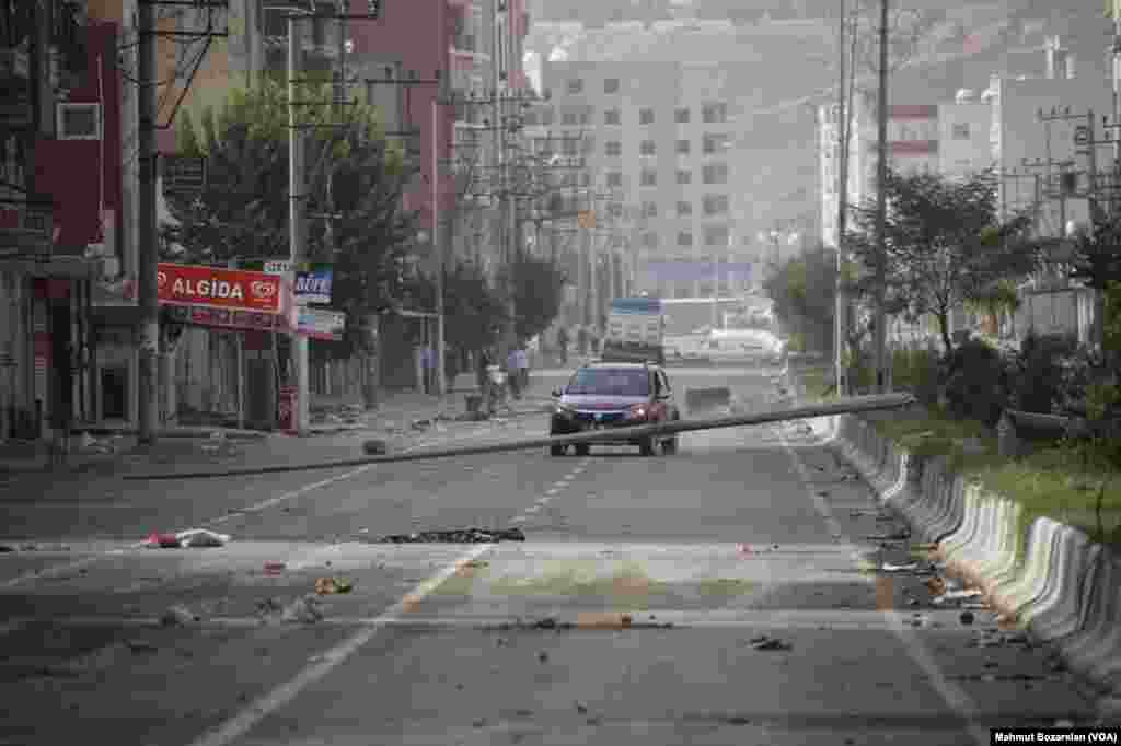 A newborn baby mandrill plays next to its mother at the zoological park in Amneville, eastern France.