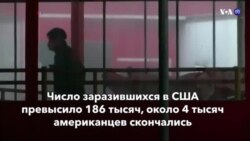 Новости США за минуту – 1 апреля 2020