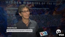 Heidi Sosik, Woods Hole Oceanographic Institution. (Maxim Adams/VOA)