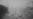 Air Pollution Could Cause Over 500,000 Premature Deaths in India