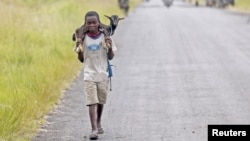 A boy carries a goat along a road near the town of Sake, about 27 kilometers west of Goma, DRC, November 27, 2012.