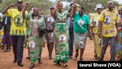 Kupinda mudariro rezvematongerwo enyika kwaAmai Grace Mugabe kunonzi kwakonzeresa kusagadzikana muZanu PF