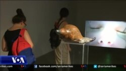 Ndërgjegjësimi për mjedisin