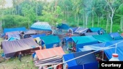 Lokasi pengungsian warga di desa Labuan, Kecamatan Ratolindo, Kabupaten Tojo Una-Una, Sulawesi Tengah, Kamis (26/8/2021) (Foto : Sekretaris Desa Tete A, Moh Fikri Agusti)