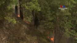 Կալիֆոռնիայի անտառային հրդեհների արդյունքում կան զոհեր