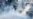 Israeli Security Cabinet Meets to Review Policy at Shrine