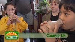 Buenos Días América 