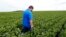 FILE - farmer Michael Petefish walks through his soybeans at his farm near Claremont in southern Minnesota.