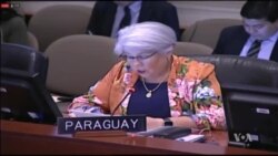 Desde la OEA: Impacto de la política del gobierno de los Estados Unidos de separar a las familias de migrantes