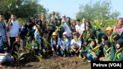 Mahasiswa program pertukaran ikut menanam mangrove di hutan mangrove Wonorejo Surabaya, untuk memperingati Hari Air Sedunia, Sabtu 21 Maret 2015 (Foto: VOA/Petrus).