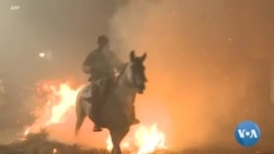 En Espagne, on "purifie" les chevaux sur des brasiers