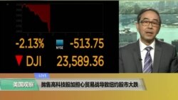 VOA连线(方冰)：抛售高科技股加担心贸易战导致纽约股市大跌