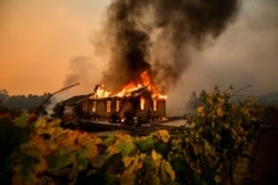 Vines surround a burning building as the Kincade Fire burns through the Jimtown community of unincorporated Sonoma County, Calif., Oct. 24, 2019.
