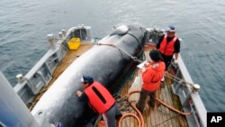 Paus Minke yang ditangkap nelayan Jepang di Kushiro, bagian utara Pulau Hokkaido, Jepang, September 2013. Jepang akan memulai lagi perburuan komersial paus pada hari ini, 1 Juli 2019, setelah meninggalkan Komisi International Penangkapan Paus (IWC)