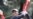 Tiger Woods Berkunjung ke Thailand, Negara Asal Ibunya