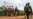 Eight UN Peacekeepers in DR Congo Detained Over Misconduct