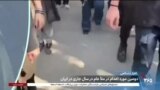 اخبار شامگاهی