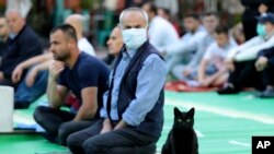 A cat is seen sitting near Muslims offering Eid al-Fitr prayers outside the mosque of Kokonoz in Tirana, Albania.
