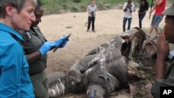 U.S. Secretary of the Interior Sally Jewell talks with investigators near the carcass of a poached rhino in Kruger National Park, South Africa’s biggest wildlife reserve, Jan. 29, 2016. 