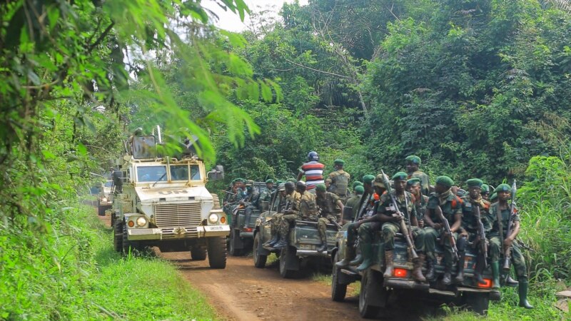 Au moins 23 personnes tuées par les rebelles ADF dans le nord-est congolais