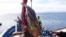 Huge Sunfish Caught Off Spanish Coast