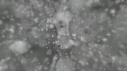 بي بي شیرینه: په ټیلې ویژن