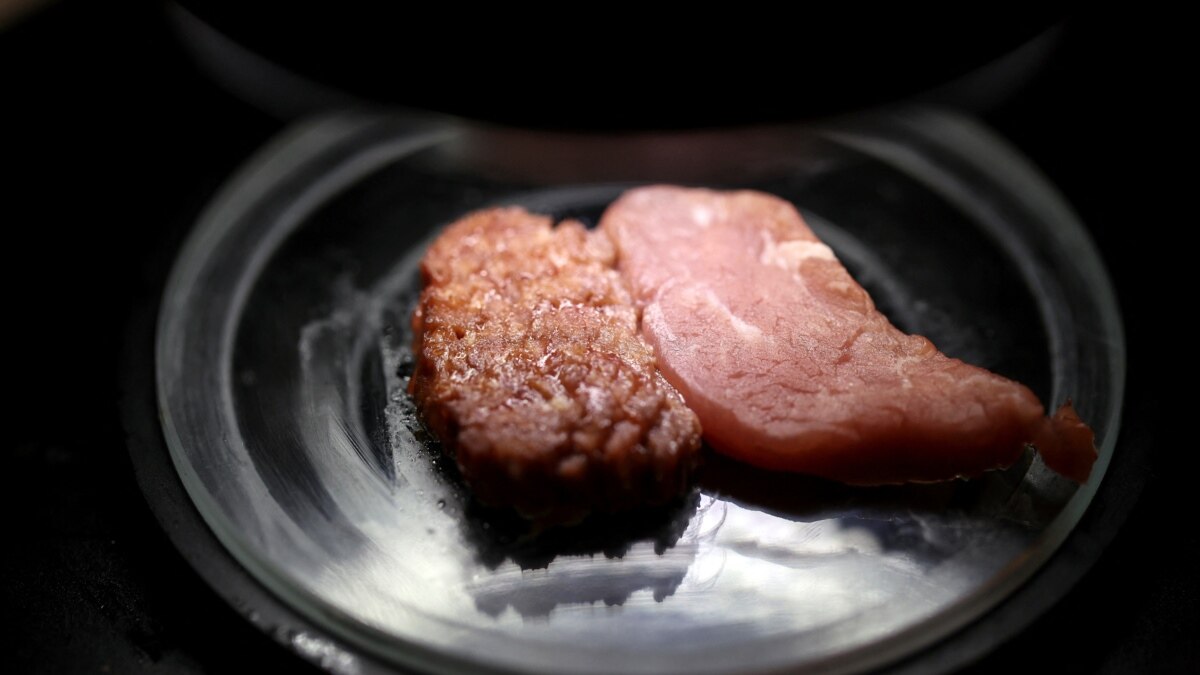 Israeli Company Thinks Europe Is Ready for 'New' Meat - Vimarsana News