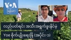 လည်ပတ်ရင်း အသီးအရွက်ခူးနိုင်မဲ့ Yoe စိုက်ပျိုးရေးခြံ (အပိုင်း-၁)