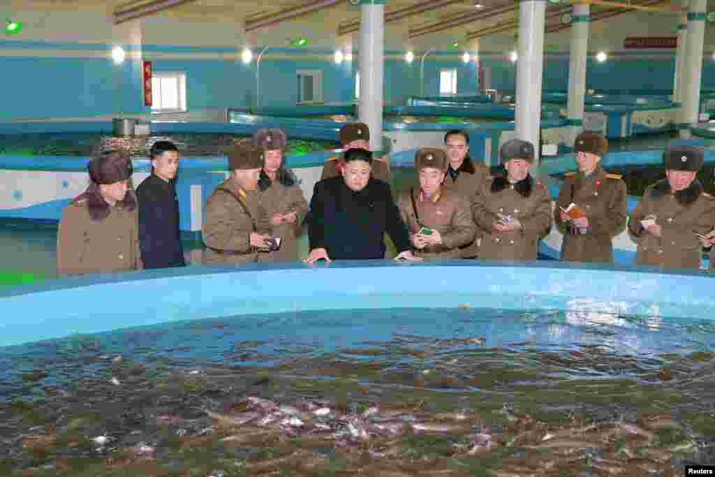 북한 김정은 국무위원장이 최근 현대화 공사를 거친 삼천메기공장을 시찰했다고, 관영 조선중앙통신이 21일 보도했다. 김 위원장이 수행 인사들과 함께 양어 시설을 둘러보고 있다.