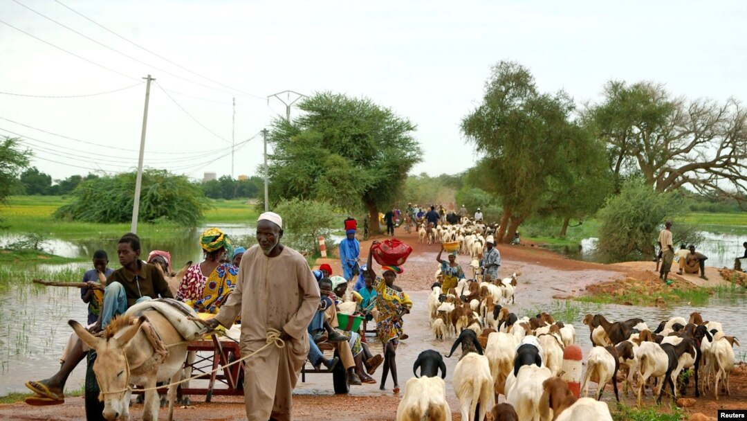 
Penggembala ternak nomadik memulai perjalanan pulang yang jauh setelah menjual ternak di sebuah pasar di Dori, Burkina Faso, 12 Agustus 2005.
