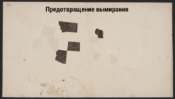 Закон США об изчезающих видах животных и птиц