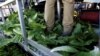 Death Toll From US E. Coli Outbreak Rises to Five