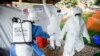 Ebola : MSF accuse l'OMS de "rationner" le vaccin des laboratoires Merck