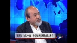 美国之音专访：王康就庭审薄熙来点评司马南等人