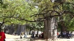 Gofu la Msikiti wa karne ya 12 lagunduliwa Mombasa