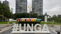 African political scientist says the UNGA should promote peace and development in Africa