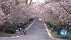 0fd71100-7623-45ac-897a-d0f7914b6801_fullhd.mp4