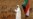 Sudan Moves to Dissolve Ex-Ruling Party, Repeals Public Order Law