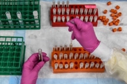 FILE - A lab technician sorts blood samples for a COVID-19 vaccination study at the Research Centers of America in Hollywood, Florida, Aug.13, 2020.