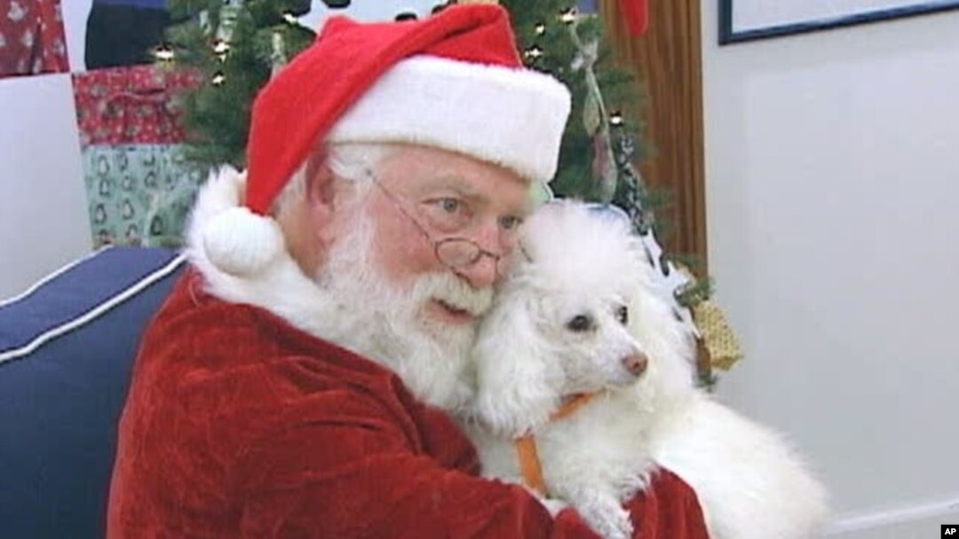 Santa Claus poses for pictures with pets to help raise money for the Washington Humane Society