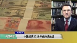 专家视点(叶文斌)： 中国经济2019年或持续放缓
