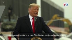 Trump sobre pandillas