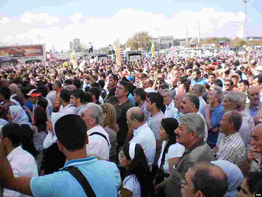 Peace Day Celebrations
