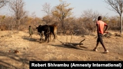 Sécheresse à Gambos, province de Huila, Angola.