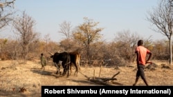 Seca nos Gambos, província da Huíla, Angola