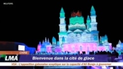 Bienvenue dans la cité de glace